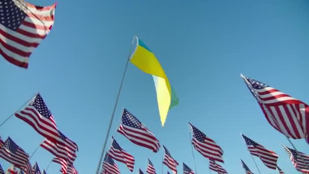 Stoppa Krig Usa Stödja Ukraina Aggressivt Krig Med Ryssland Flagga — Stockvideo
