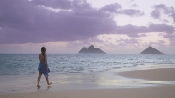 美しいLanikai砂浜に沿って裸足で歩く幸せな女性は 映画の日の出ピンクの雲の中で目にすることができます ハワイへの刺激的な夏休み旅行Redカメラ — ストック動画