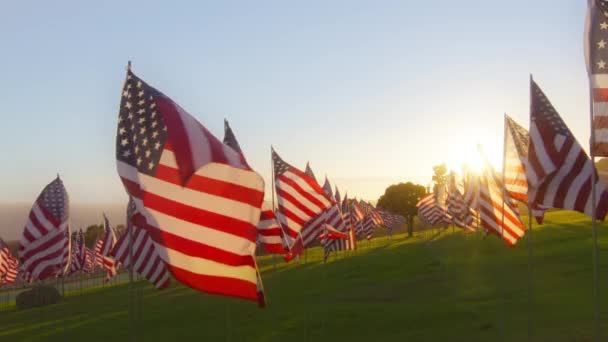 Cientos Banderas Estadounidenses Soplando Viento Fondo Azul Del Cielo Soleado — Vídeos de Stock