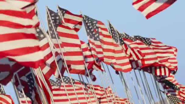 Bandeira Americana Soprando Vento Com Fundo Azul Céu Bandeiras Americanas — Vídeo de Stock