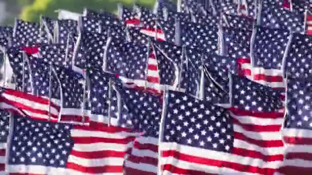 夏の日には多くのアメリカ国旗が揺れる アメリカの旗が飛ぶ アメリカの旗竿はレッドショット アメリカ国民の祝典 労働者の日 独立記念日 記念碑 退役軍人愛国者大統領 — ストック動画