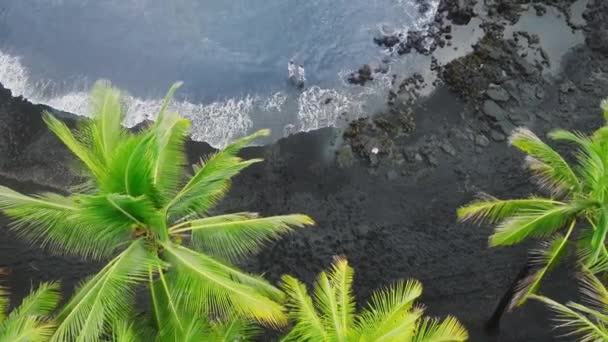 夏の日に青い海の波で緑のヤシの木とエキゾチックな黒い溶岩砂のビーチを歩く人々の上にドローンの空中 風光明媚な自然熱帯ビッグアイランドハワイ 米国夏旅行休暇 — ストック動画