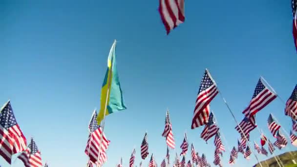 停止乌克兰战争的概念 在金色落日和太阳耀斑的映衬下 乌克兰国旗与许多美国国旗在风中飘扬 乌克兰国旗独立 金融经济迅速复苏 — 图库视频影像