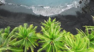 Havadan güzel yeşil palmiye ağaçları. Pasifik Okyanusu 'ndaki Büyük Ada' da mavi okyanus dalgaları olan Hawaii siyah kumsalı. Amerika 'nın güzel sahil şeridini gösteren 4K insansız hava aracı videosu.
