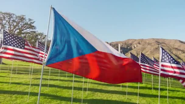 Drapeau National République Tchèque Visualisant Indépendance Économie Financière Partenariat Affaires — Video