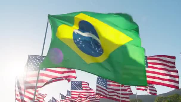 Flag Brazil Waving Wind Many American Flags Motion Background Golden — Stock Video