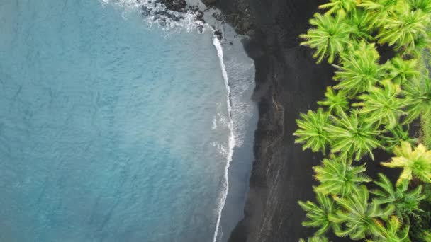 Natureza Intocada Dia Verão Viagem Sonho Para Ilha Verde Viagem — Vídeo de Stock