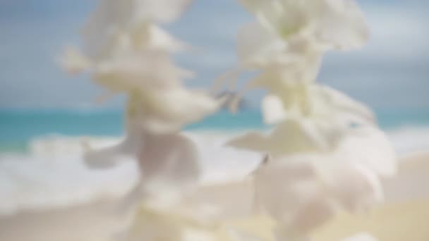 伝統的な花レイネックレスとようこそシンボル 頭上に花をつけたカメラビュー 観光の歓迎ジェスチャーとしてリースの花のネックレスを与える 美しいです女の子でビキニ歩くBy Oahuh Hawaii — ストック動画