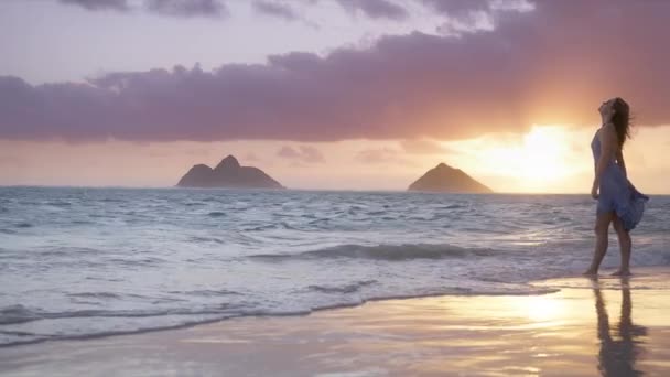 Silhouette Donna Abito Volante Sulla Bellissima Spiaggia Delle Hawaii Con — Video Stock