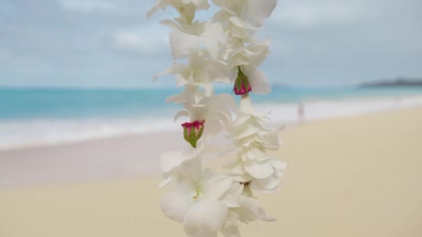 伝統的なハワイアンレイネックレスで白い熱帯の花についての最初の人の見解を閉じます 風光明媚な白い砂浜の風景とハワイ島の伝統的な歓迎観光客のプロセス — ストック動画