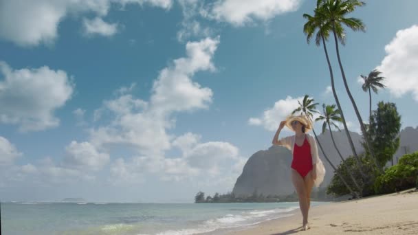 夏休みの新しい思い出の概念旅行 旅行者や旅行ブロガーは 美しい熱帯ビーチ ジャングルマウンテンバレー映画の背景で歩く 夏の旅行やハワイの冒険の幸せな女性 — ストック動画