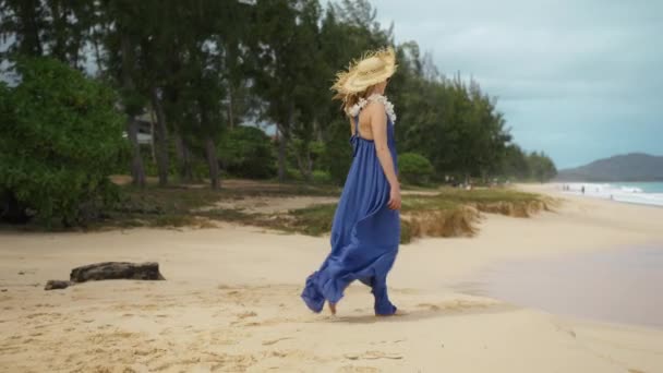 慢动作风景拍摄优雅的游客与莱花无颈行走在风景秀丽的瓦胡岛自然 30年代正宗的女旅行家 身穿紫色马西潮风格的连衣裙 头戴草帽 享受夏威夷海滩4K — 图库视频影像