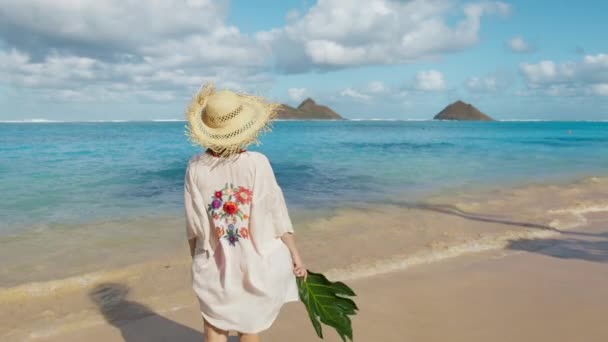 Reisender Influencer Besucht Berühmtes Reiseziel Auf Hawaii Urlauberin Paradiesischen Strand — Stockvideo