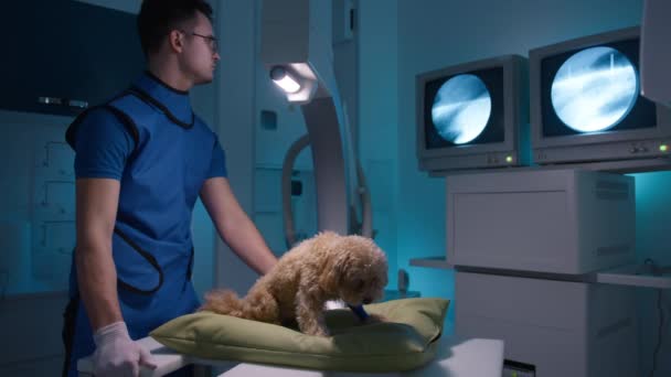 Husdjur Vård Hälsa Professionell Veterinär Läkare Tittar Skärmen Med Djur — Stockvideo