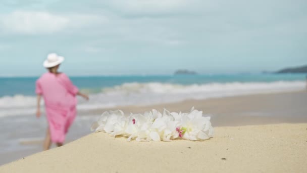 Αντίγραφο Νησί Oahu Διακοπές Φόντο Κομψός Ταξιδιώτης Που Επισκέπτεται Διάσημο — Αρχείο Βίντεο