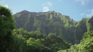Oahu Cennet Adası 'ndaki Botanik Bahçesi' ndeki yüksek yeşil orman dağlarının panoramik görüntüleri. Hawaii manzarasının güzel doğası, 4K kopya alanı olan ABD turizm arka planı