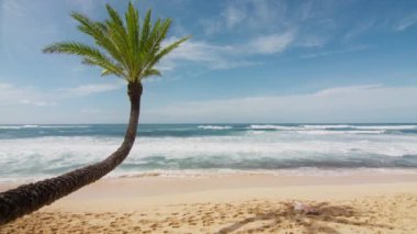 Eğri palmiye ağaçları, Hawaii sahilinin güneşli yaz arka planında, güzel mavi denizde, altın plaja gölge düşürüyor. Cennet sahilinde tropik bir tatil. Deniz manzarası üzerinde hindistan cevizi palmiyesi ağacı 4K görünümü