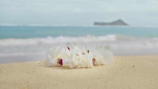 ハワイアンウェルカムシンボルとして白蘭のネックレスで伝統的な花レイを閉じます 白い砂浜の背景にレイの花 ようこそ観光客 ハワイ旅行映画背景Redカメラ4K — ストック動画