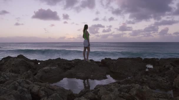 自由の概念 幸福の旅 水平線の上に穏やかなパステルパープルのピンクの空と岩の多いビーチで波のスプレーで夕暮れ時に新鮮な海の風を楽しむ一人の女の子の観光客 ハワイ州観光 アメリカ — ストック動画