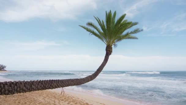 Dívka Slamáku Baví Pobřeží Oceánu Křivé Palmy Písečném Mořském Břehu — Stock video