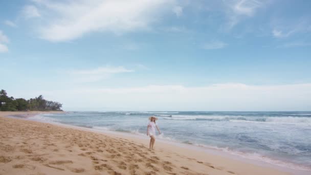 Exotischer Urlaub Der Wunderschönen Landschaft Von Oahu Frau Strand Des — Stockvideo