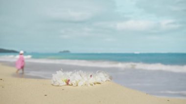 Pembe gömlekli kadın Hawaii 'de Oahu sahilinin beyaz kumları boyunca turkuaz denize doğru yürüyor. Amerika Birleşik Devletleri 'ne yolculuk. Her yere git. Çiçekler yavaş çekimde kırmızı kamera.