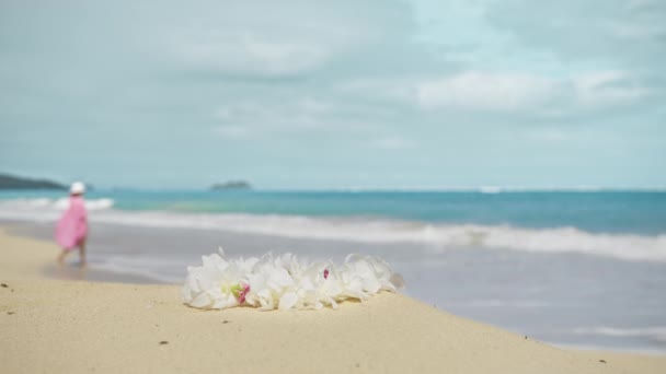 셔츠를 하와이 오하우 해변의 모래사장을 청록색 바다를 미국을 어디든 천천히 — 비디오