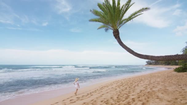 Reiselust Paradiesischer Strand Auf Der Insel Hawaii Usa Tourismus Kopie — Stockvideo