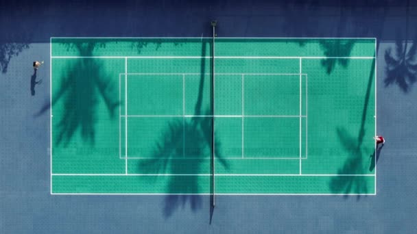 Sportliche Menschen Üben Tennis Bei Sonnenuntergang Mit Malerischen Palmen Schatten — Stockvideo