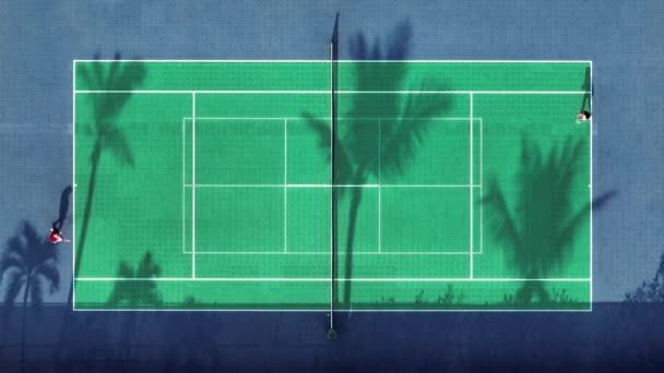 4K无人机的网球比赛 运动员在日落时练习打网球 绿地上有美丽的棕榈树影子 游戏玩家投球4K 在打网球的人之上的空中顶层 — 图库视频影像