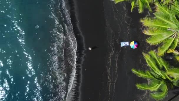 Жінка Острові Гаваї Повітряні Щасливі Туристи Які Насолоджуються Сонцем Сяють — стокове відео
