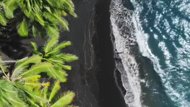 Parlayan Mavi Okyanus Dalgalarından Siyah Kumsala Doğru Yürüyen Tepeden Aşağı — Stok video