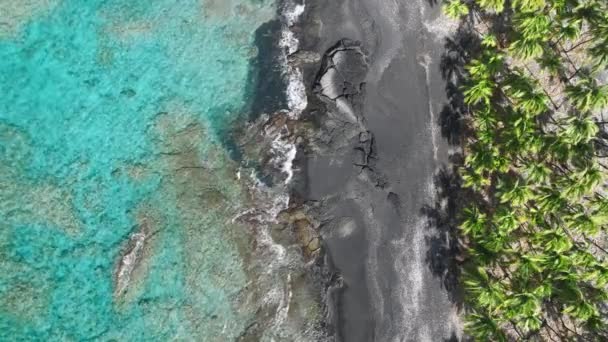 Hawaii Usa Güzel Bir Sahil Şeridine Ait Insansız Hava Aracı — Stok video