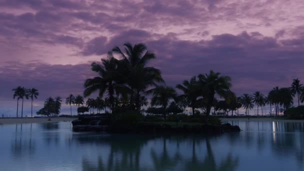 Hawaii Adası Abd Alacakaranlık Pembesi Eflatun Gökyüzünde Gökyüzü Zamanı Geçmiş — Stok video