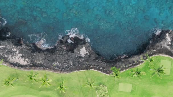 逃离天堂热带海洋海岸 自上而下的空中自然景观背景 茂盛的植被 碧绿的海水和岩石般的火山海岸 令人叹为观止的海岸清澈的蓝水 风景秀丽的绿色 — 图库视频影像