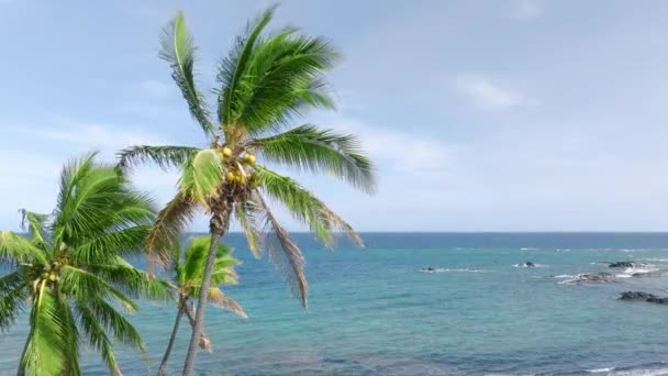Belleza Los Trópicos Isleños Hawaii Con Imágenes Fondo Costa Oceánica — Vídeos de Stock