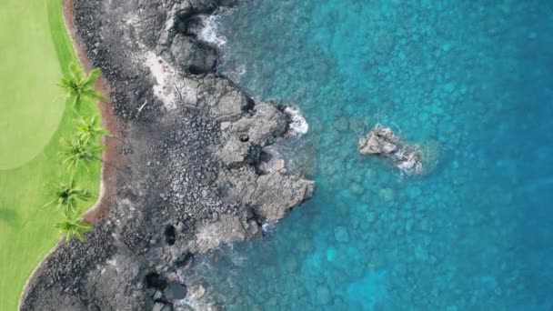 息をのむ海岸澄んだ青い海 風光明媚な緑 パラダイス島の熱帯ココナッツのヤシ 空中自然景観の背景をトップダウン 緑豊かな植生 ターコイズブルーの海 岩の多い火山海岸 — ストック動画