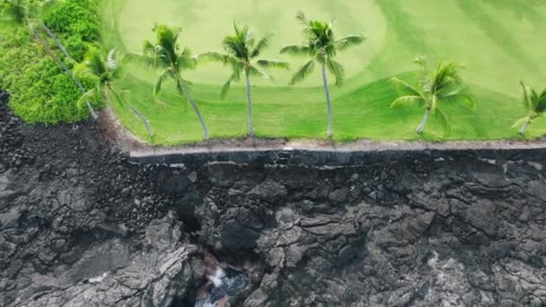 美国夏威夷热带大岛上的海洋海岸 美丽的大自然从绿色的高尔夫球场上俯瞰而下 海水清澈而透明 戏剧化的空中景观黑色熔岩海岸 — 图库视频影像