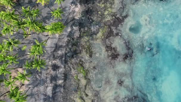 Letní Dovolená Exotickém Sopečném Ostrově Černou Lávovou Písečnou Pláží Tyrkysově — Stock video
