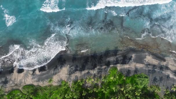 Svart Sandstrand Den Vulkanske Big Island Kjede Fjerne Reisemål Hawaii – stockvideo