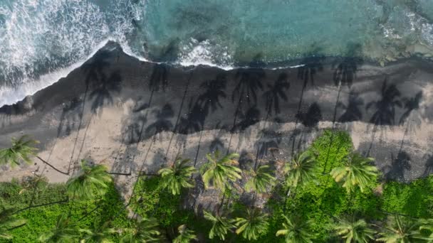 Cadena Destino Viaje Remoto Las Islas Hawaii Uno Los Lugares — Vídeos de Stock