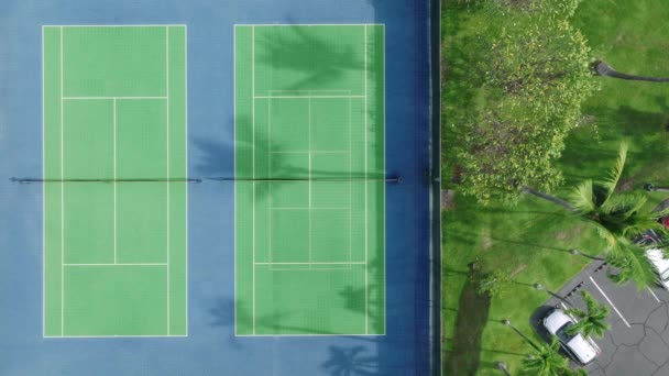 Aerial Top Drone Shot Empty Tennis Court Palm Trees Shadows — Vídeo de Stock