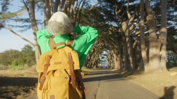 Zypressentunnel Naturpark Nordkalifornien Kamera Begleitet Frau Auf Abenteuerreise Junger Millennialreisender — Stockvideo