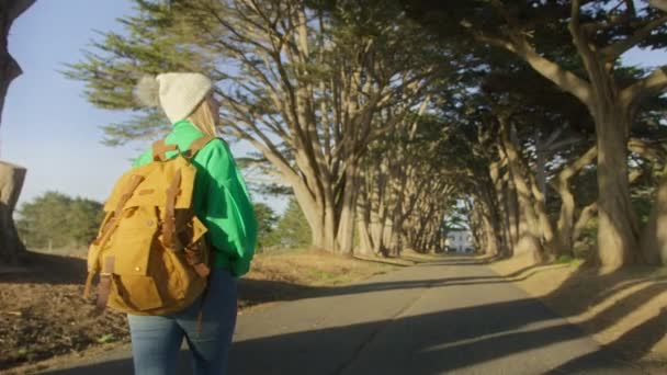카메라는 여행이나 모험을 여성을 따른다 밀레니엄 여행자 블로거가 아름다운 사이프러스 — 비디오