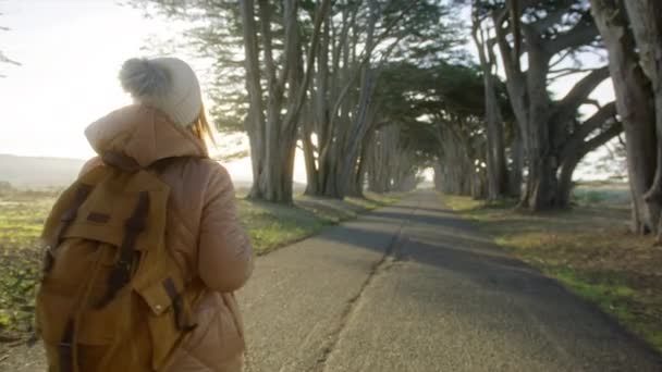 Cámara Sigue Mujer Excursionista Abrigo Cálido Gorro Sombrero Con Mochila — Vídeos de Stock