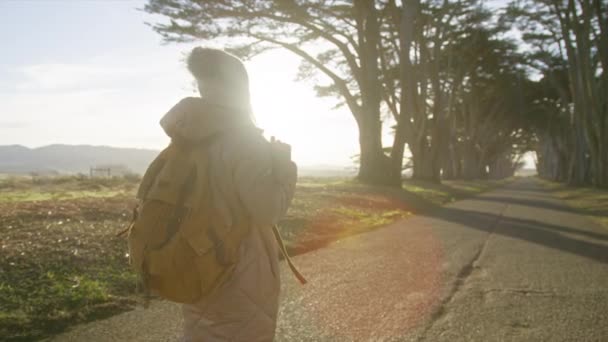 Yavaş Çekim Çekici Mutlu Turist Sırt Çantasıyla Selvi Ormanlarında Yürüyüş — Stok video