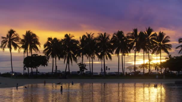 鮮やかなカラフルな黄金の紫色の夕日や日の出の背景に暗いヤシの木のシルエットと熱帯のビーチ 豪華なリゾートホテル ワイキキオアフ島 アメリカの夏の映画のようなRedカメラショット — ストック動画