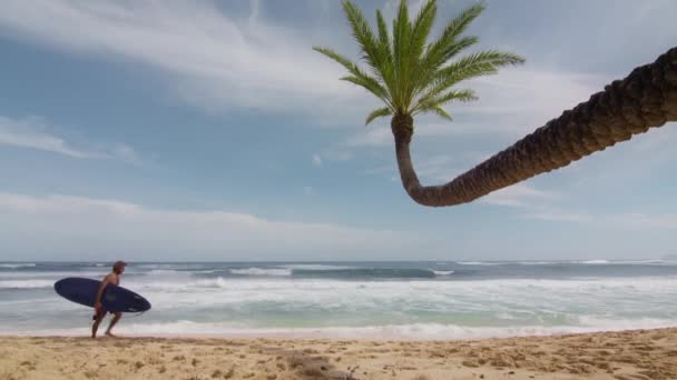 Кинематографический Снимок Мужчины Серфера Идущего Золотистому Песчаному Пляжу Доской Молодой — стоковое видео