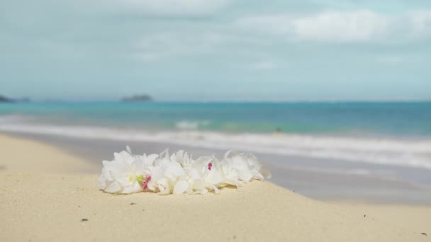 Closeup Άποψη Για Λευκά Λουλούδια Ορχιδέες Lei Θολή Φόντο Του — Αρχείο Βίντεο