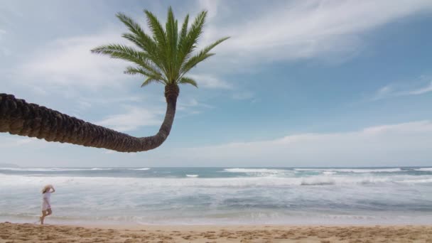 해변을 여름에 휴양지로 지푸라기 모자를 바닷가에서 꼬부라진 야자나무와 재미를 아름다운 — 비디오